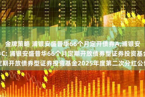 金牌策略 浦银安盛普华66个月定开债券A,浦银安盛普华66个月定开债券C: 浦银安盛普华66个月定期开放债券型证券投资基金2025年度第二次分红公告