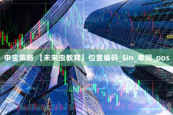 申宝策略 【未来虫教育】位置编码_Sin_单词_pos