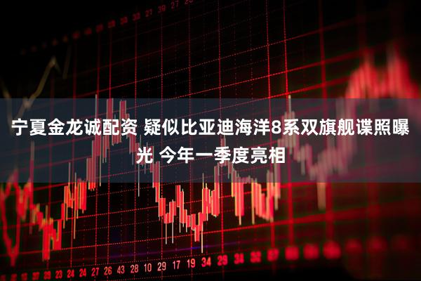 宁夏金龙诚配资 疑似比亚迪海洋8系双旗舰谍照曝光 今年一季度亮相