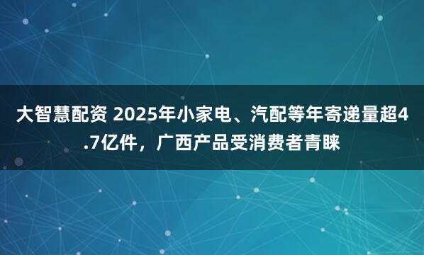 大智慧配资 2025年小家电、汽配等年寄递量超4.7亿件，广西产品受消费者青睐