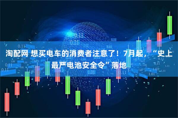 淘配网 想买电车的消费者注意了！7月起，“史上最严电池安全令”落地